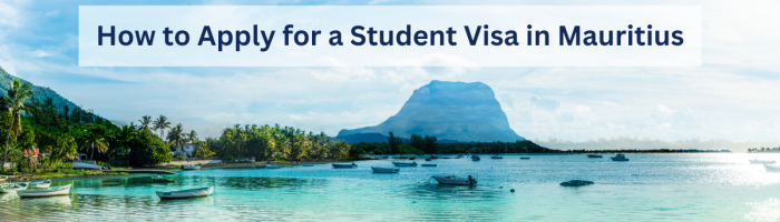 International Student Visa Application Process to Study in Mauritius.